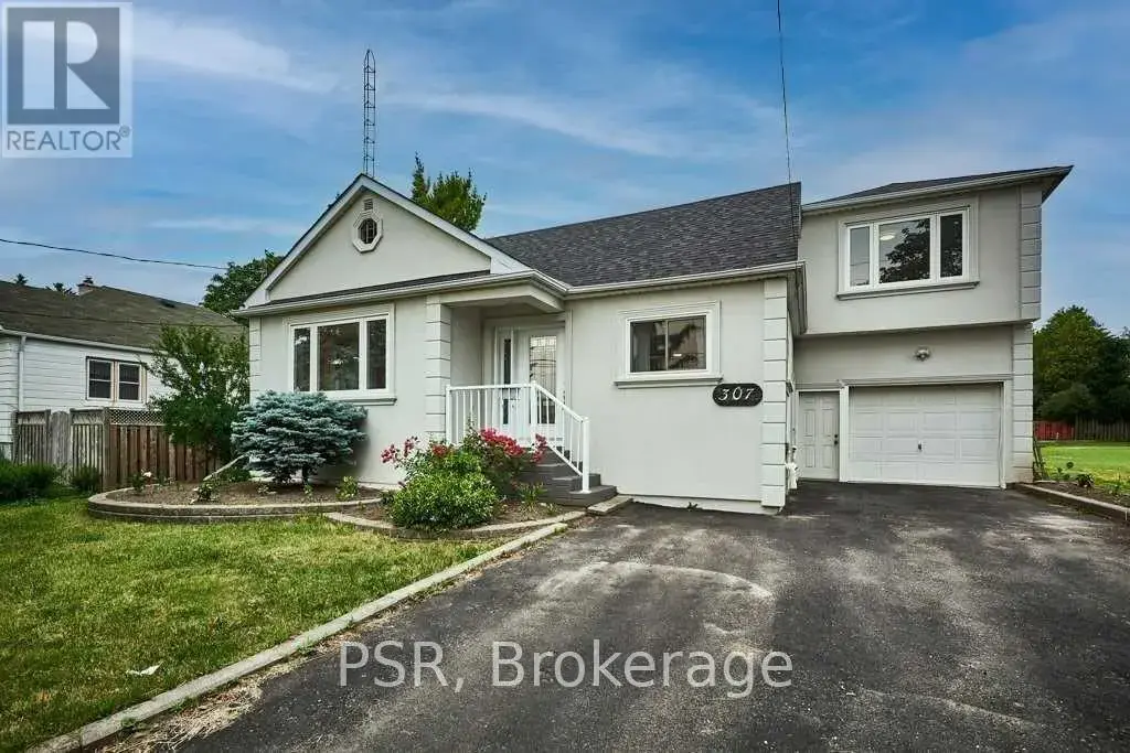 Lower - 307 Anderson Street, Whitby (Blue Grass Meadows)